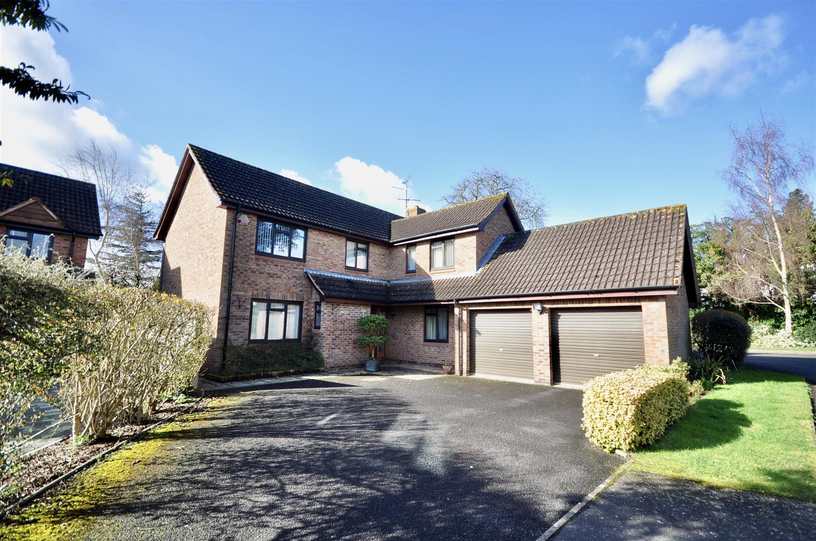 Batts Park Robert CooneyRobert Cooney