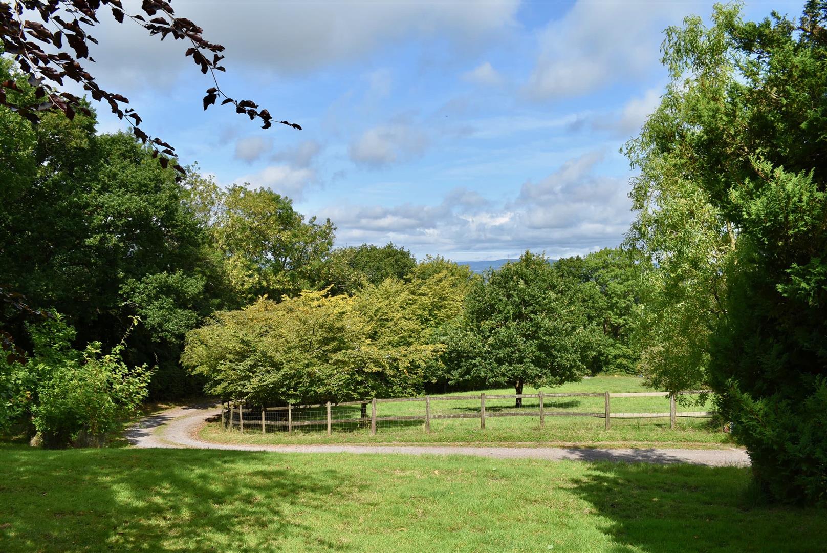 Corfe  19 Acres