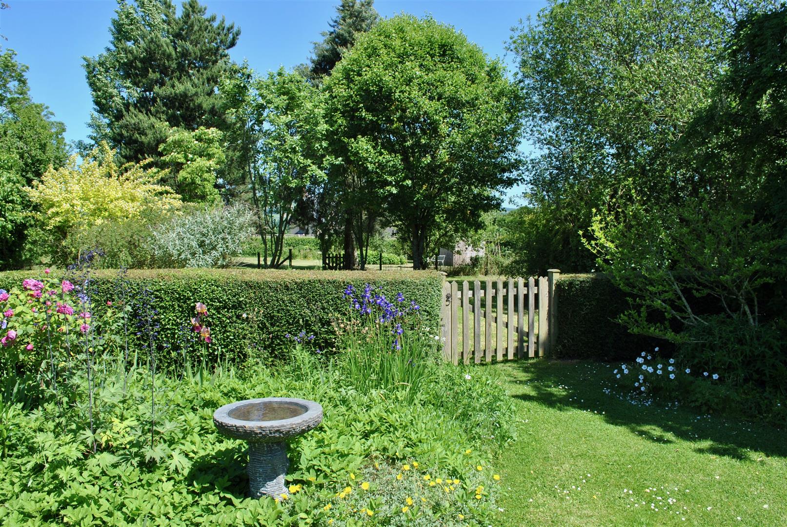 Bishops Lydeard 1 Acre