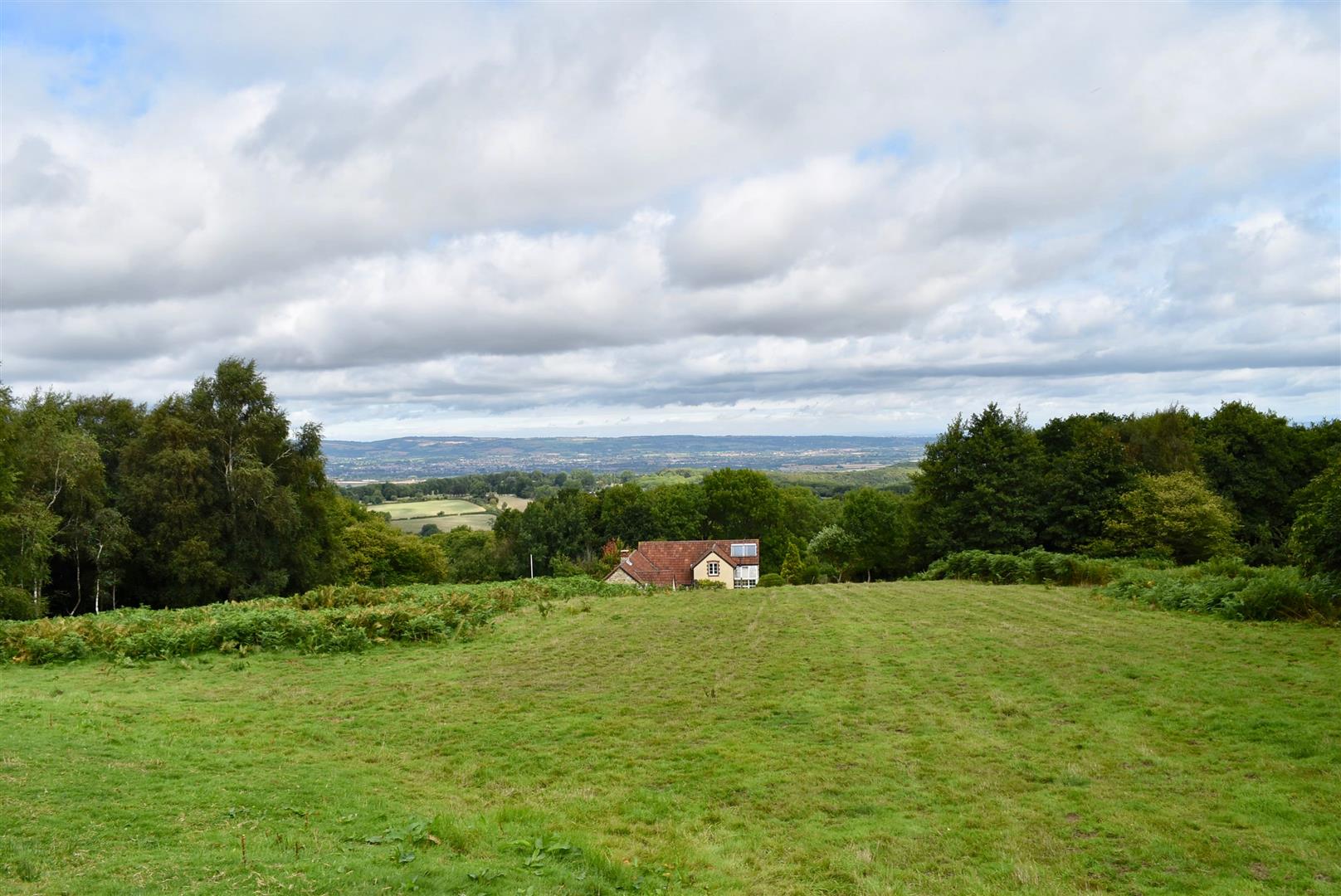 Corfe  19 Acres