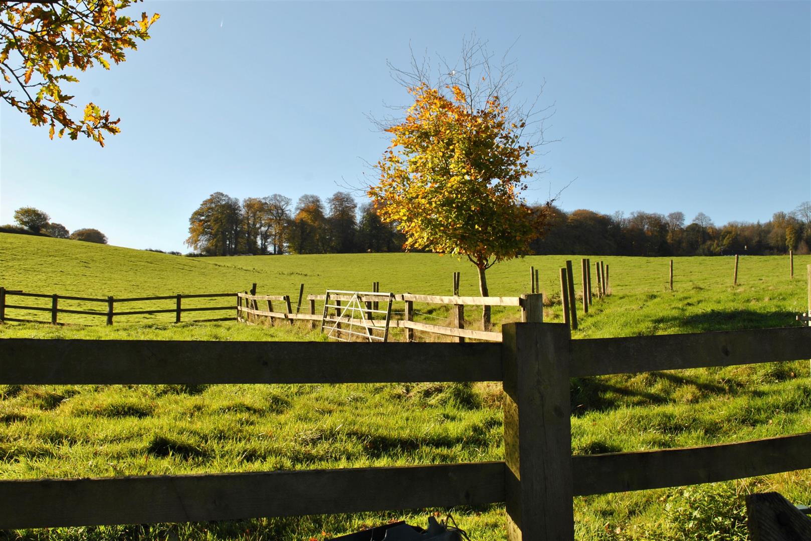 Enmore 0.23 Acre