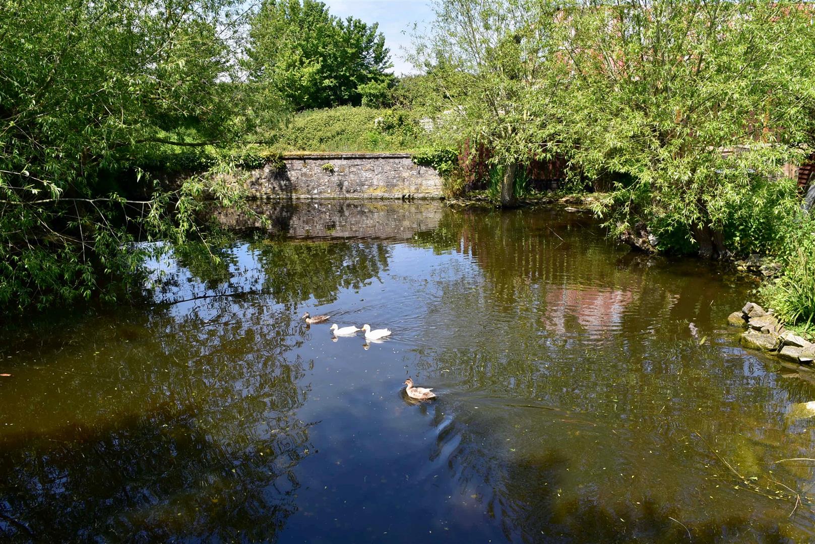 Meare Green  About 0.4 Acre