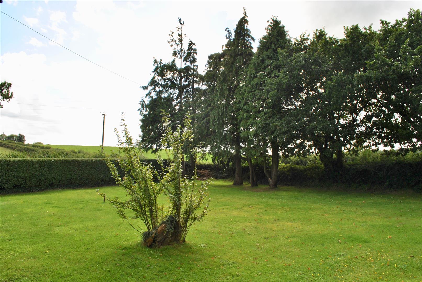 Lydeard St. Lawrence