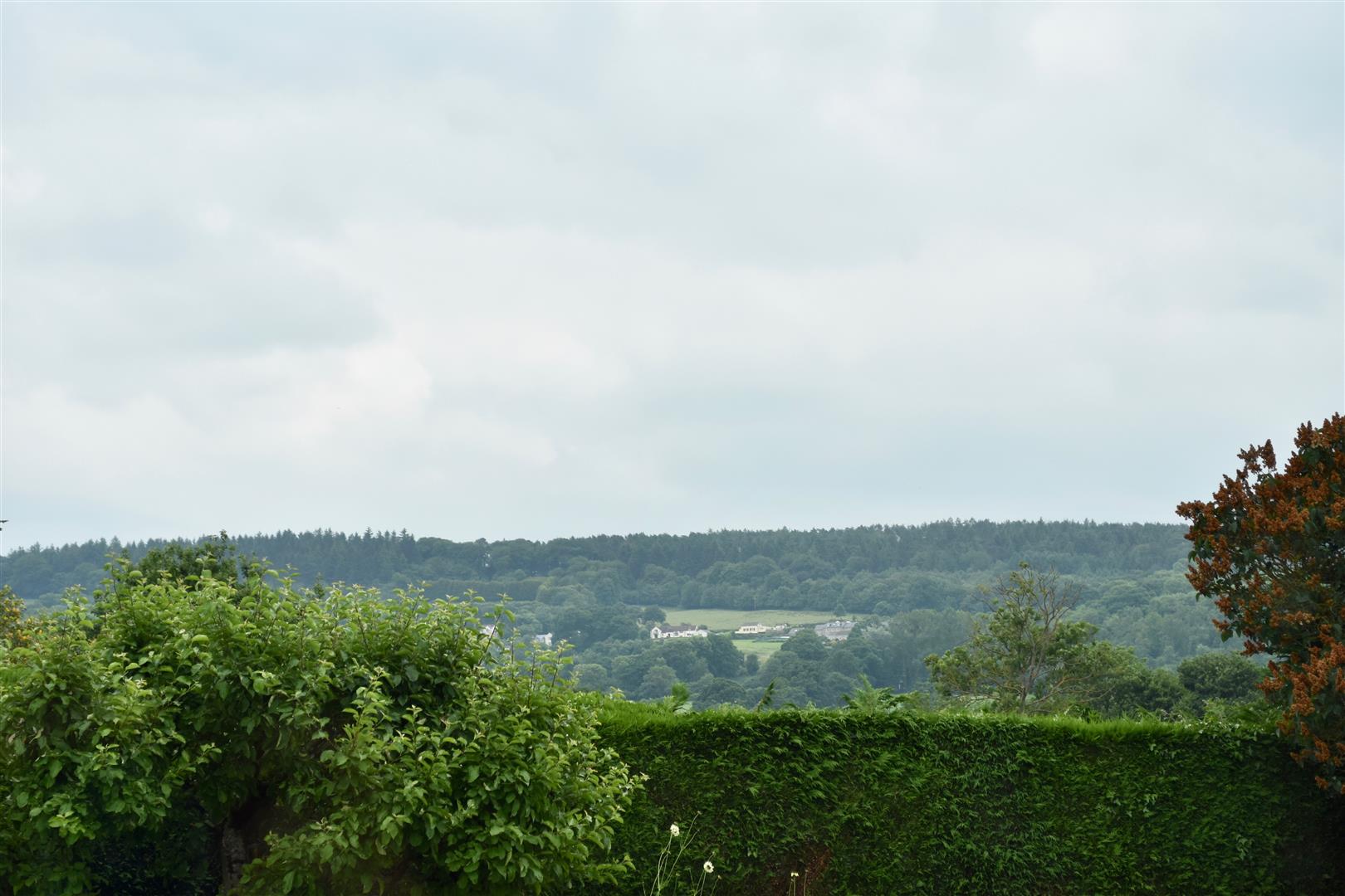 Blagdon Hill  0.22 Acre