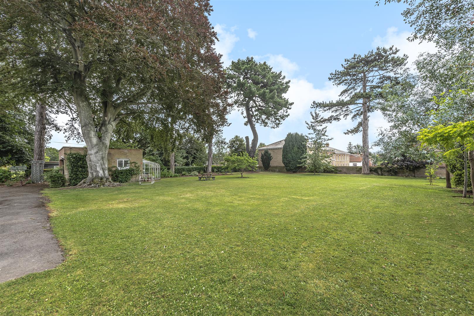 Elm Grove  0.5 Acre