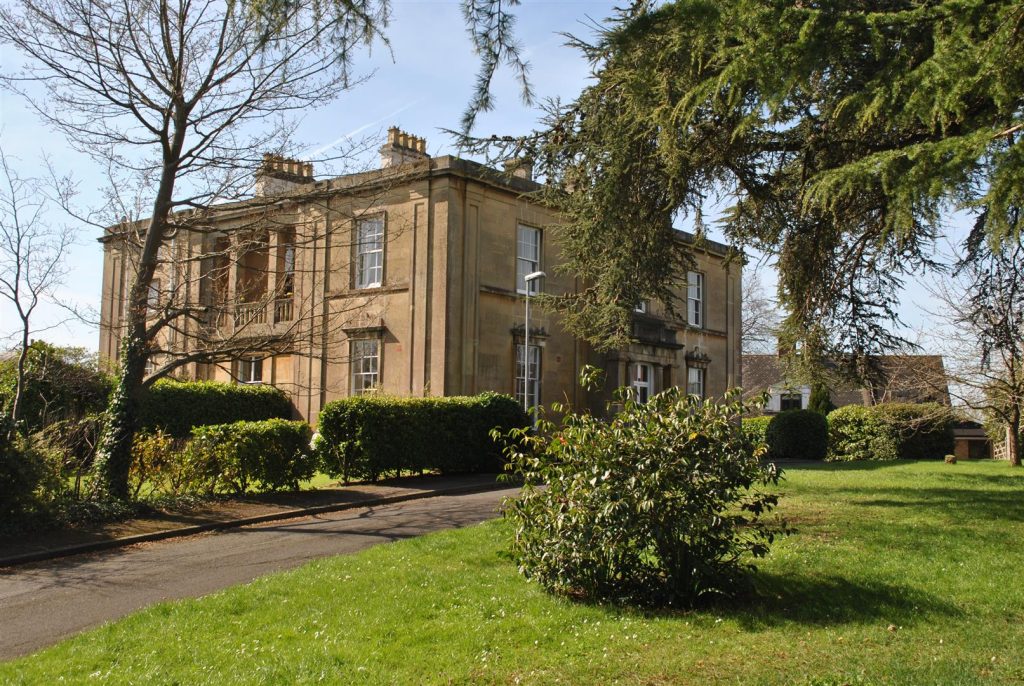 Belmont Drive