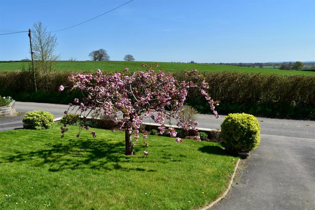 Lyngford Lane