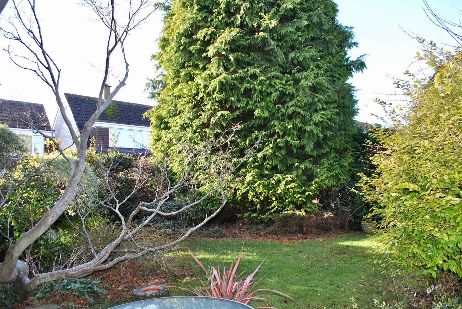 Porlock Drive
