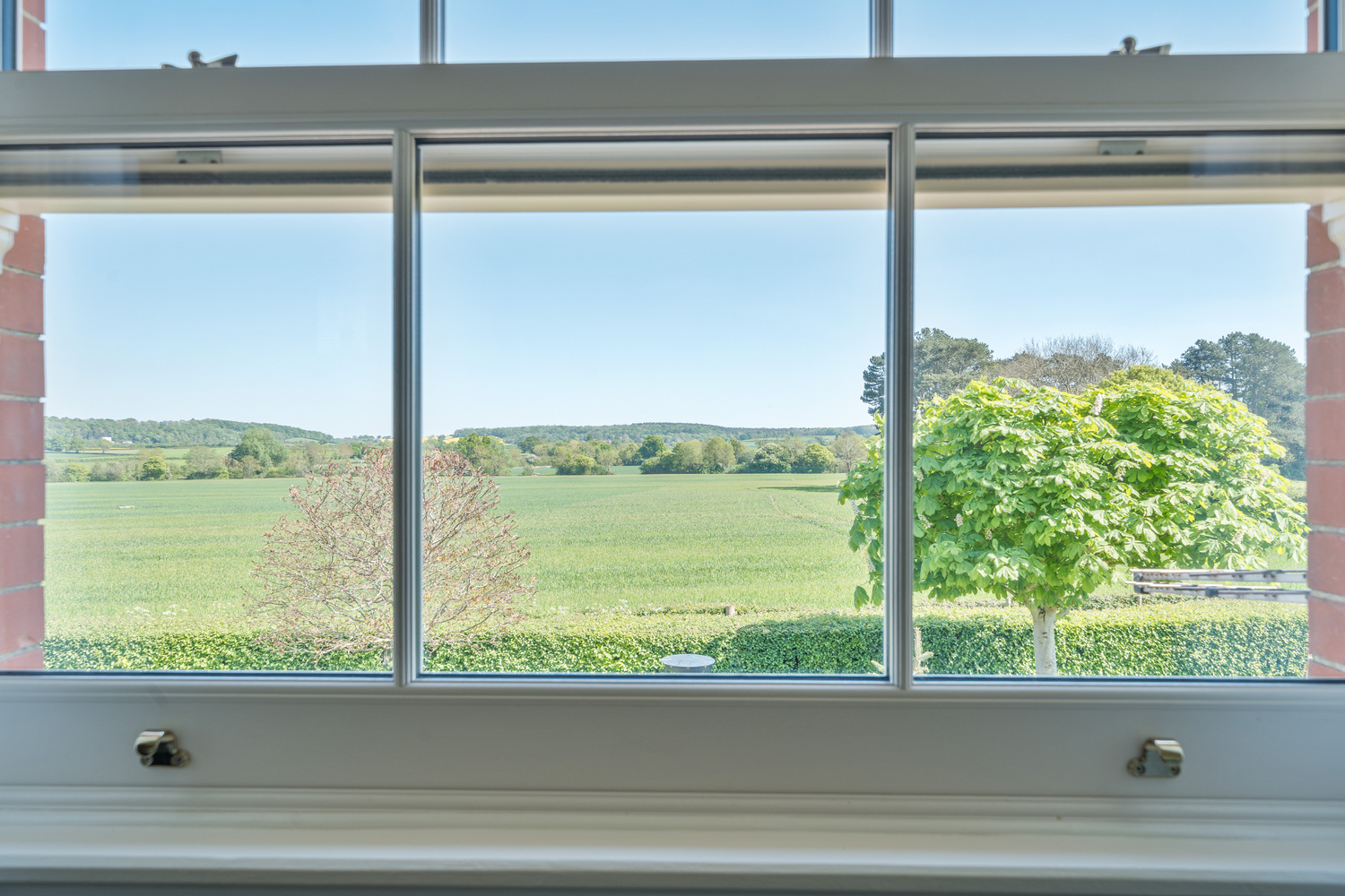 Orchard Portman, Taunton