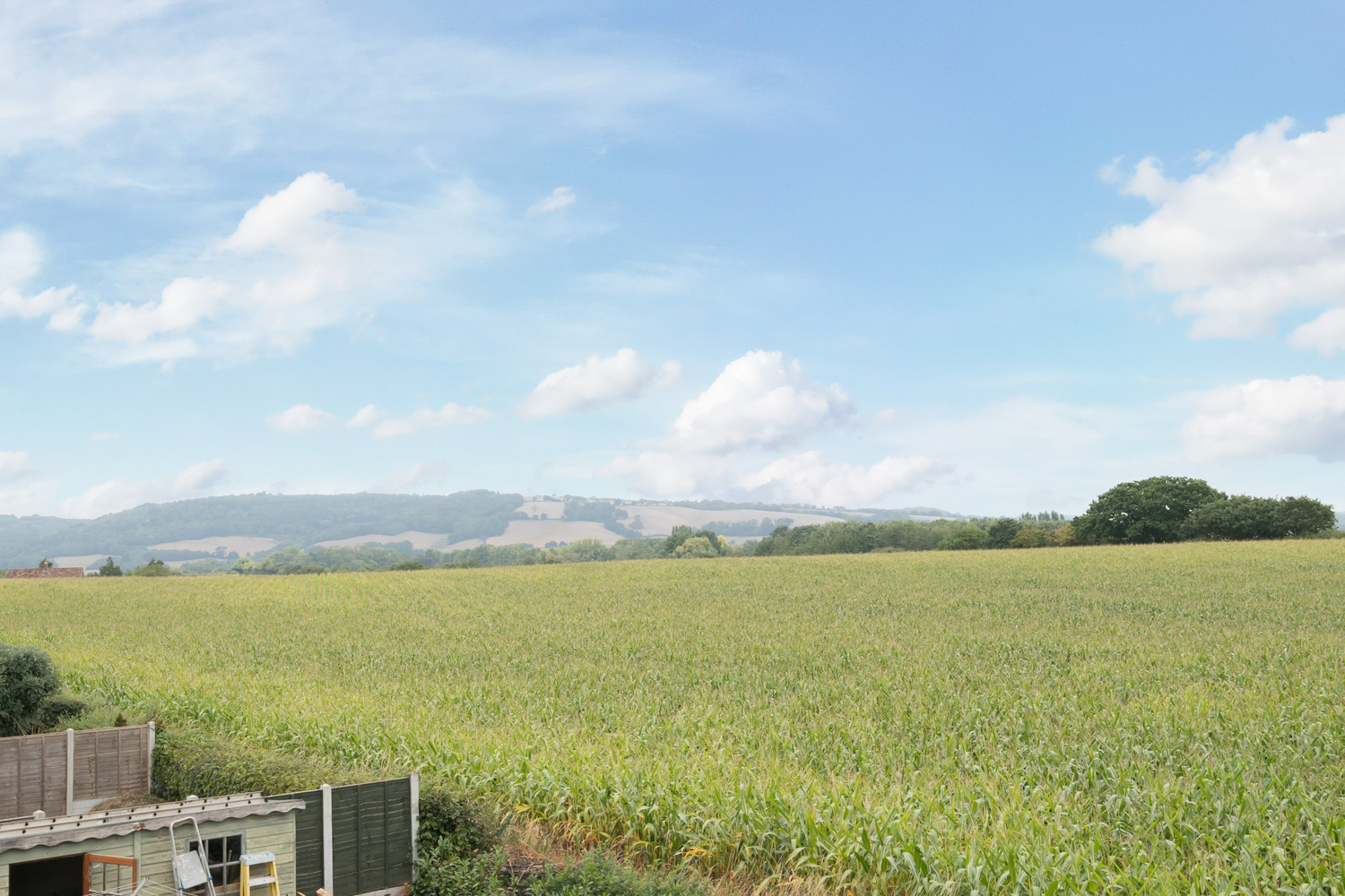 Woodridge Mead, Bishops Lydeard
