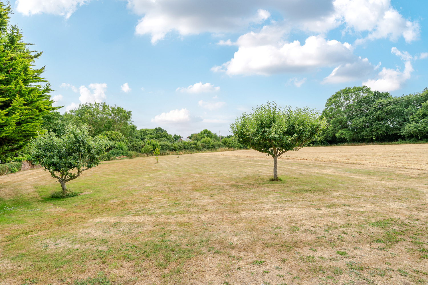 Ham, Wellington, 3.73 Acres