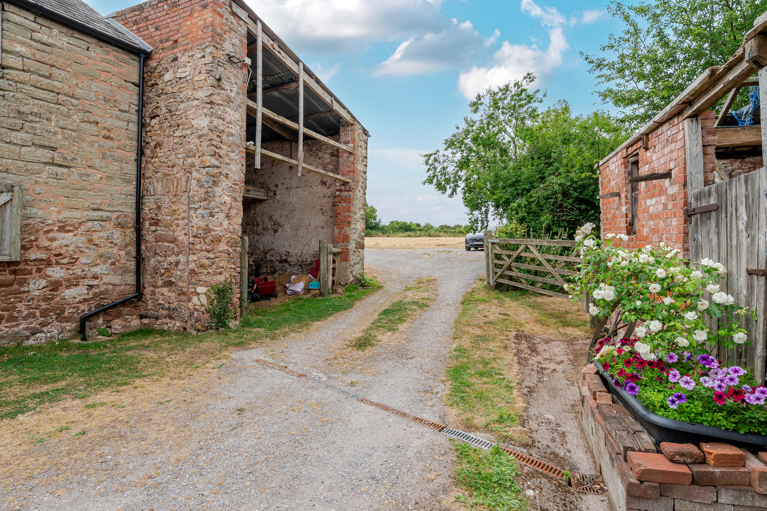 Ham, Wellington, 3.73 Acres