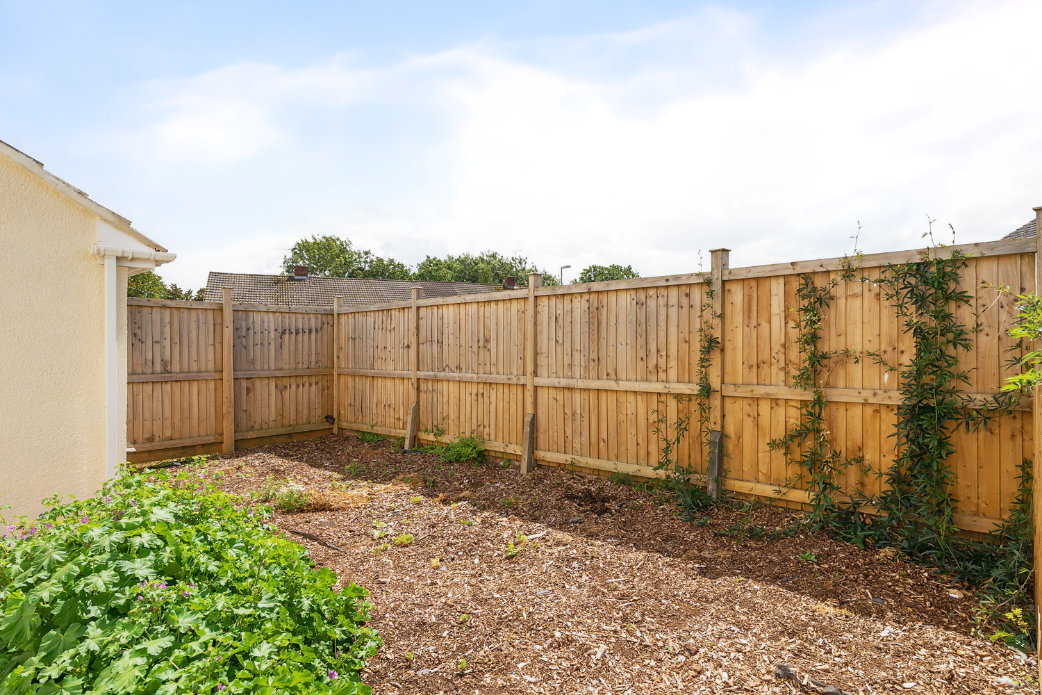 Statham Grove, Taunton