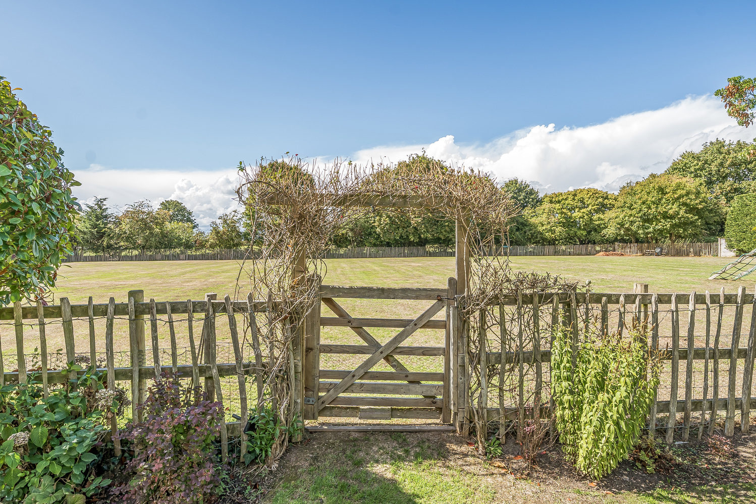 Lipe Lane, Henlade, 1 Acre