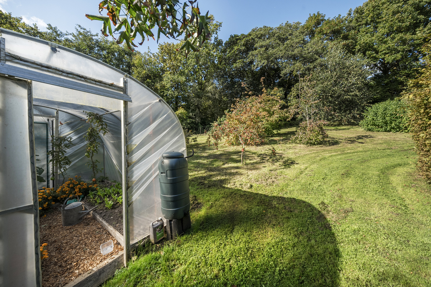 Hemyock, Cullompton, 1.23 Acre