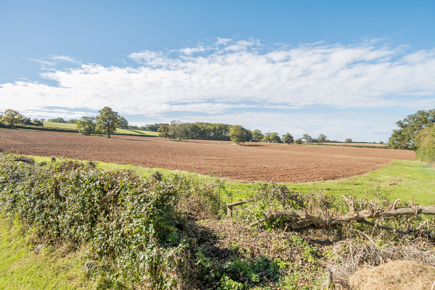 Slough Lane, Crowcombe
