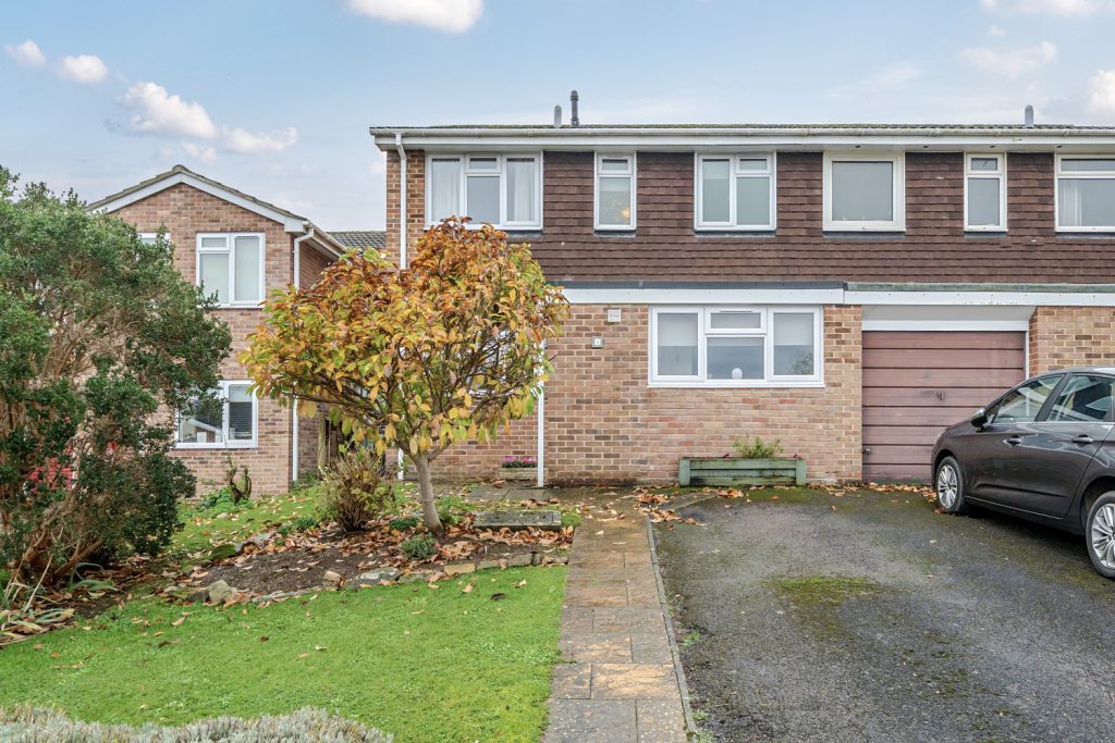 Wilton Orchard, Taunton