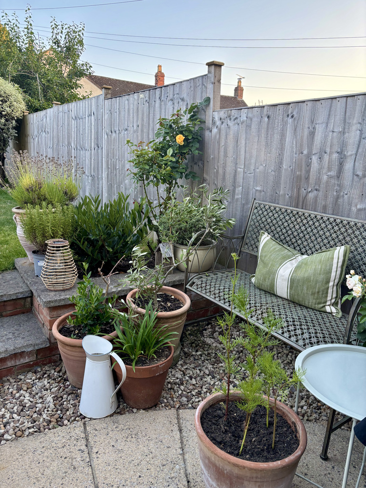 South View Terrace, Trull