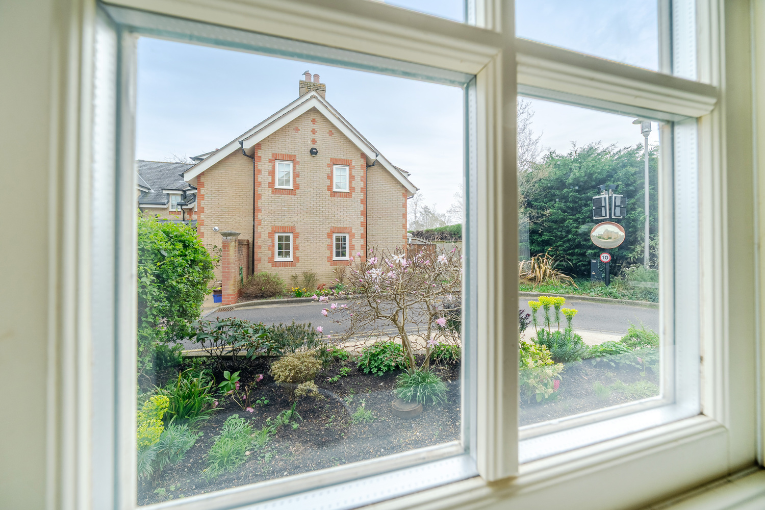 Gatchell Oaks, Trull