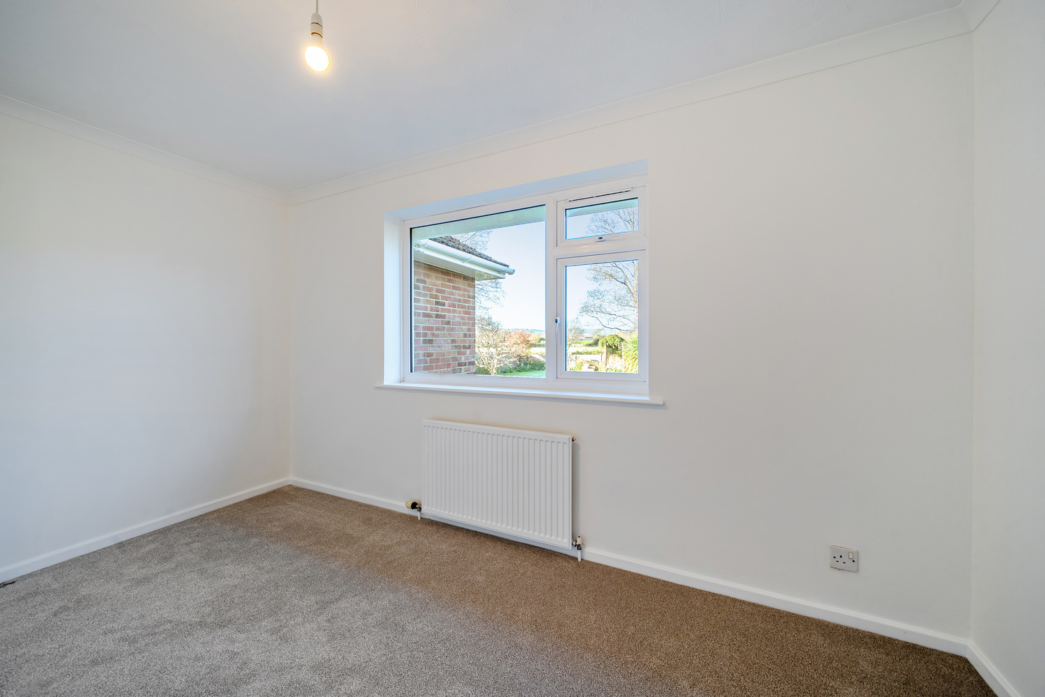 Richmond Park, Bishops Hull