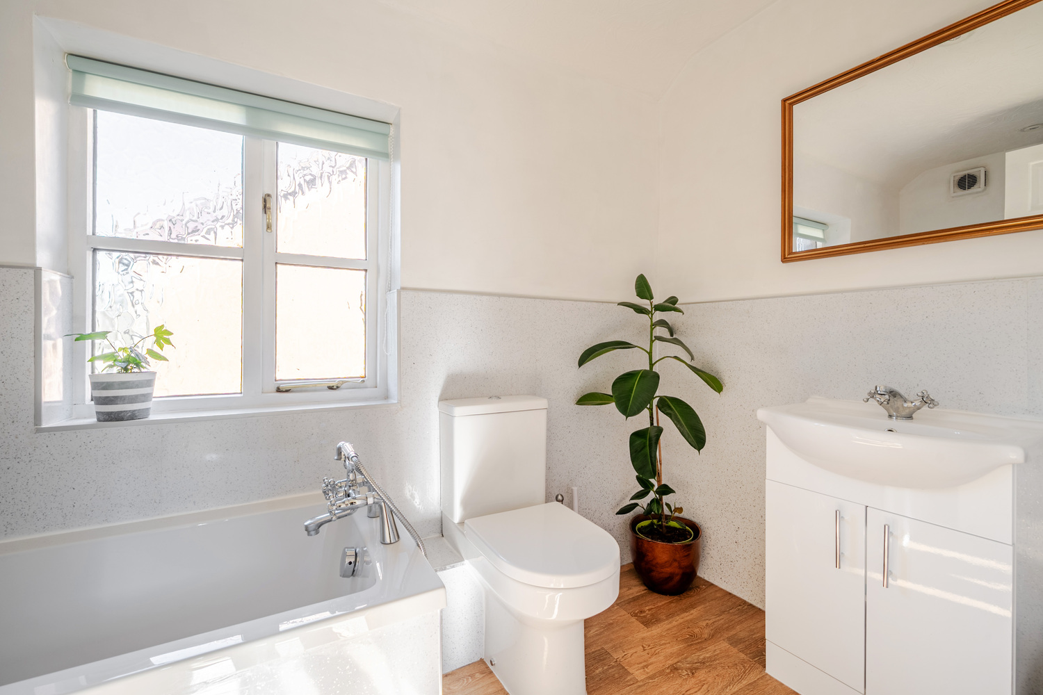 Mount Street, Bishops Lydeard