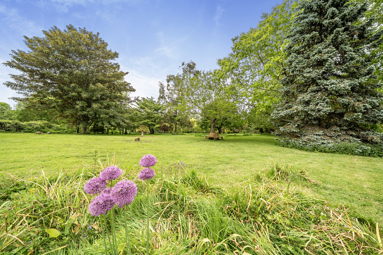 Thornfalcon, Taunton, 3.85 Acres