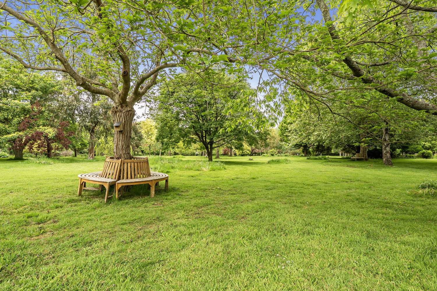 Thornfalcon, Taunton, 3.85 Acres