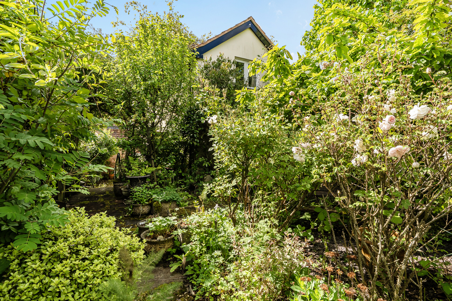 Piffin Lane, Bishops Lydeard